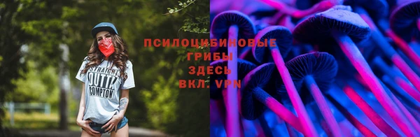 не бодяженный Кукмор