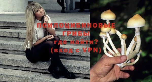 не бодяженный Кукмор