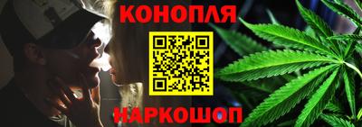 сатива Кингисепп