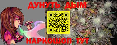 сатива Кингисепп