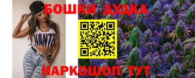 сатива Кингисепп