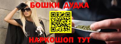 сатива Кингисепп