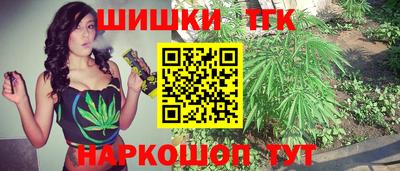 сатива Кингисепп