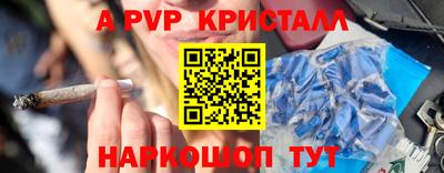 сатива Кингисепп