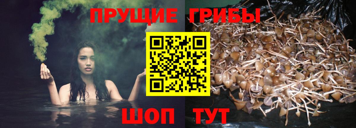Троицк  Галлюциногенные грибы MAGIC MUSHROOMS  Галлюциногенные грибы мицелий  сколько стоит  Вход с VPN 